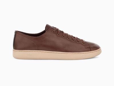 UGG Pismo Low Leather Sneakers for Mens - Grizzly/Chocolate India